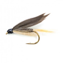 Ginger Quill  Wet Fly